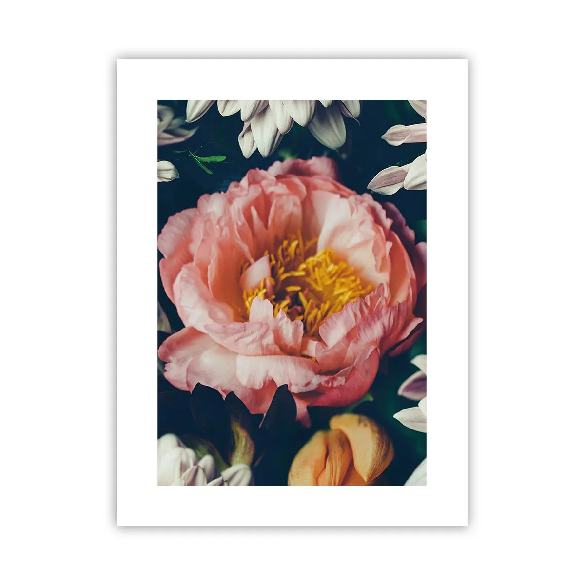 Plakat - Z barokowym przepychem - 30x40 cm