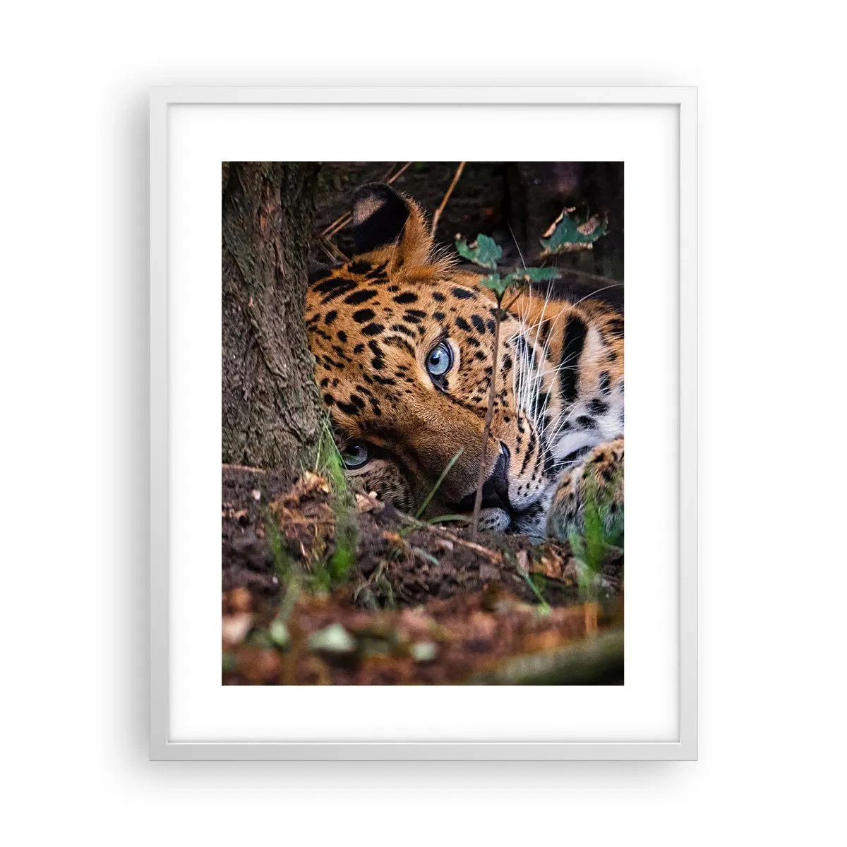 Plakat w białej ramie - Zaufaj mi - 40x50 cm