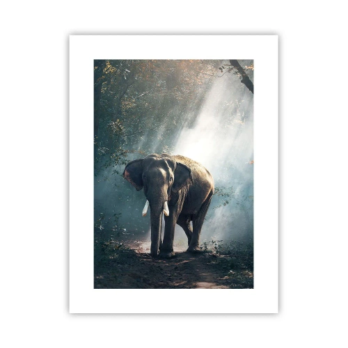 Plakat - Spokojna przechadzka - 30x40 cm