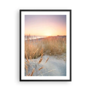 Plakat w czarnej ramie - Trawy na wydmach oświetlone zachodzącym słońcem - 50x70cm - Bałtycka kołysanka - Nowoczesna dekoracja ścienna do salonu i sypialni ARTTOR