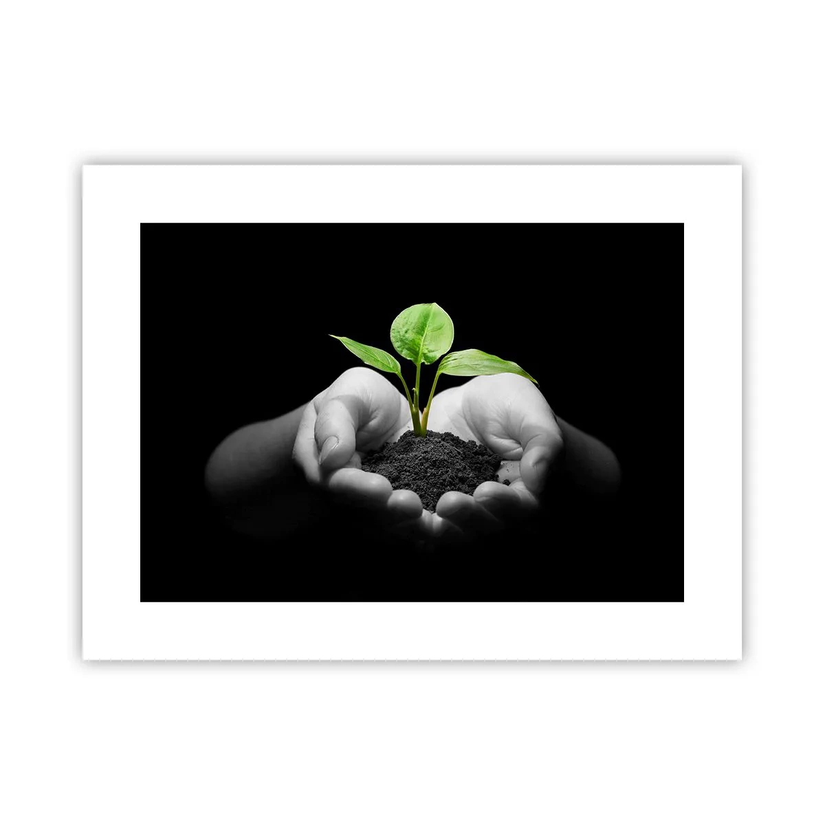 Plakat - Kocham naturę, chronię ją - 40x30 cm