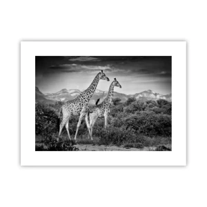 Plakat - Wyższe sfery w Afryce - 40x30 cm