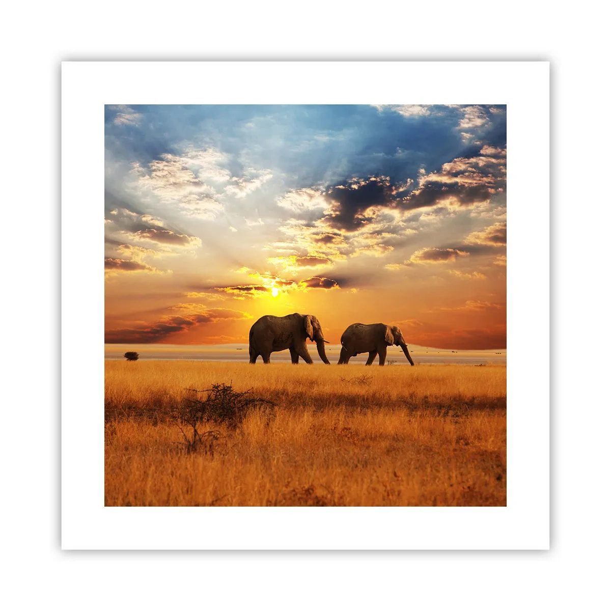 Plakat - Rodzinna przechadzka - 40x40 cm