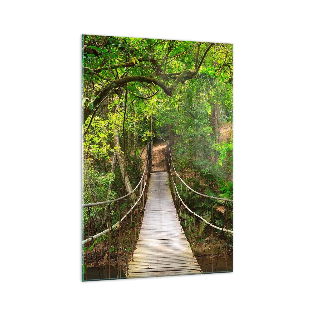 Obraz na szkle - Wiszący most w otoczeniu zielonego lasu deszczowego - 70x100cm - Bo w ogrodzie rośnie pnącze - Nowoczesna dekoracja ścienna do salonu i sypialni ARTTOR