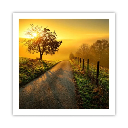 Plakat - Miodne popołudnie - 60x60 cm