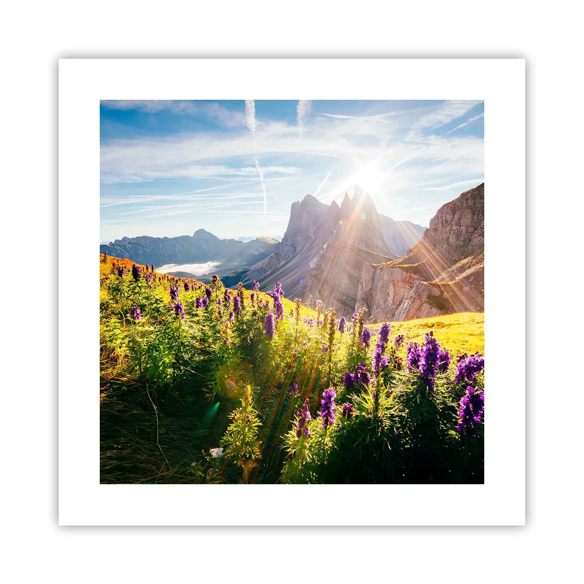 Plakat - Sekretne życie ziół - 40x40 cm