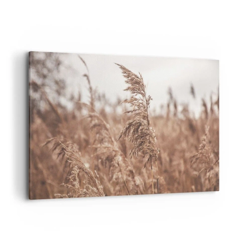 Obraz na płótnie - Złote trawy na tle jesiennej scenerii - 120x80cm - Na polach już jesień - Nowoczesna dekoracja ścienna do salonu, kuchni i sypialni ARTTOR