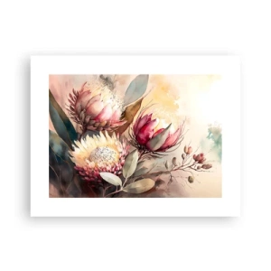 Plakat - Z profilu i en face - 40x30 cm