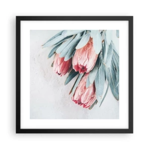 Plakat w czarnej ramie - Zawstydzone własną urodą - 40x40 cm