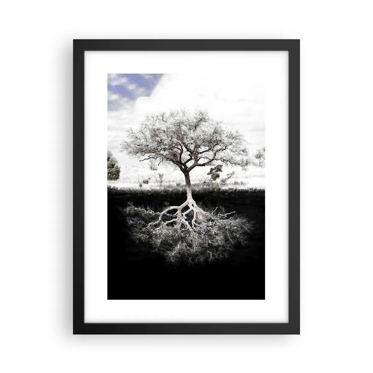 Plakat w czarnej ramie - Odkrycie natury świata - 30x40 cm