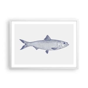 Plakat w białej ramie - Pozdrowienia z północnych mórz - 70x50 cm