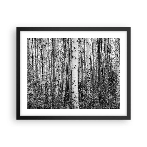 Plakat w czarnej ramie - Brzozowa kolumnada - 50x40 cm
