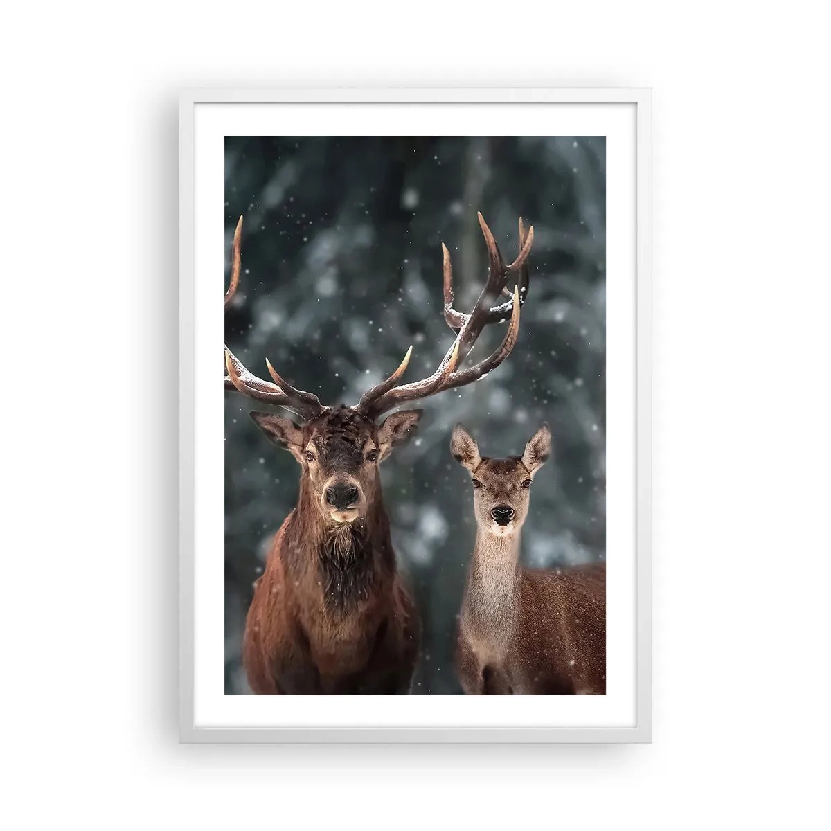 Plakat w białej ramie - Pan lasu z małżonką - 50x70 cm