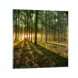Obraz na szkle - Fotografia wszystkich wiosen - 40x40 cm