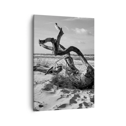 Obraz na płótnie - Czarno-biała fotografia wyrzuconego na brzeg powalonego drzewa - 50x70cm - Morska rzeźba - Nowoczesna dekoracja ścienna do salonu, kuchni i sypialni ARTTOR