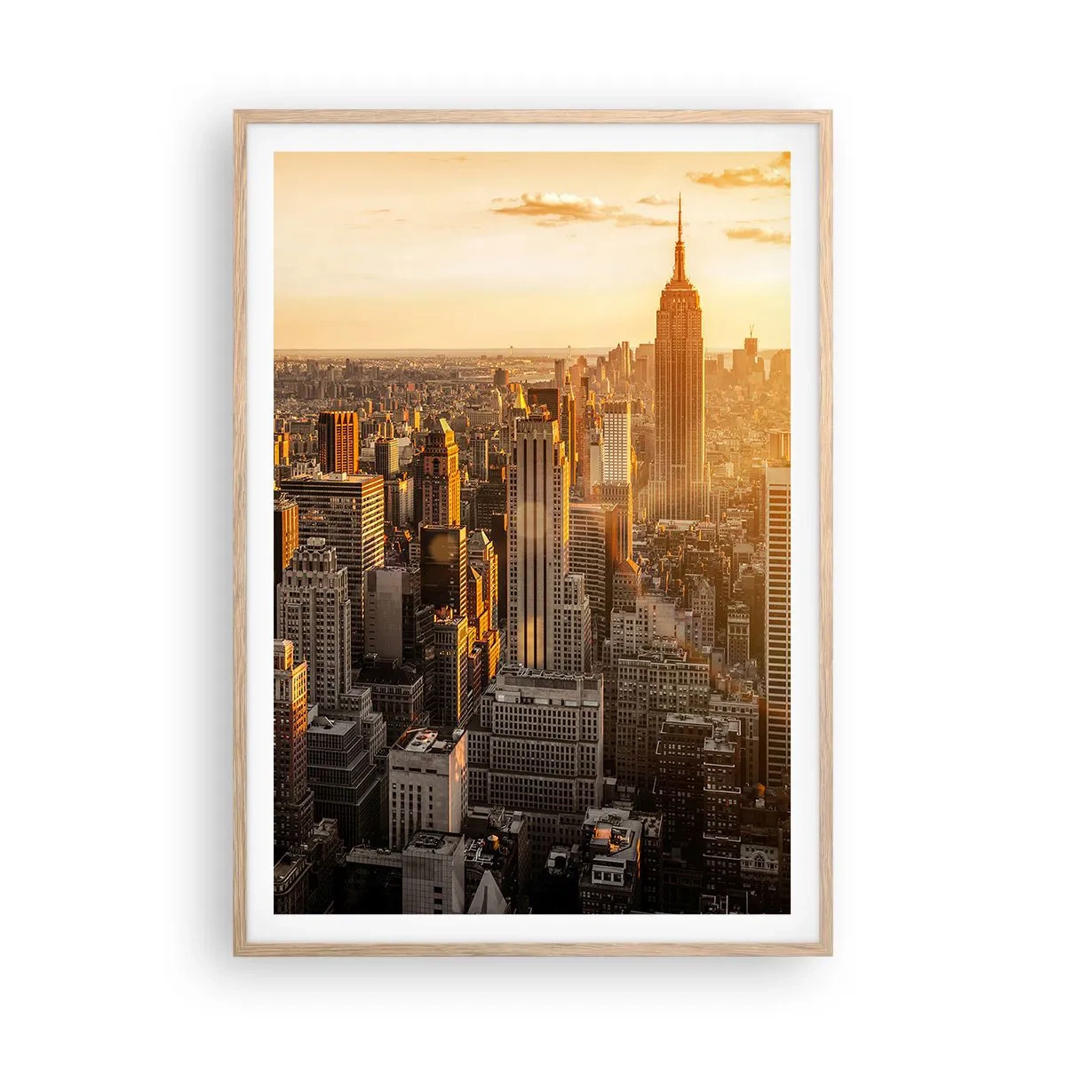 Plakat w ramie jasny dąb - Rosnąc w słońcu - 70x100 cm