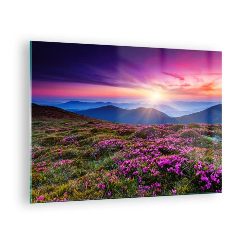 Obraz na szkle - Krajobraz górski z wrzosowiskiem o zachodzie słońca - 70x50cm - Ziół zapachniały świeże pęki od niw - Nowoczesna dekoracja ścienna do salonu i sypialni ARTTOR