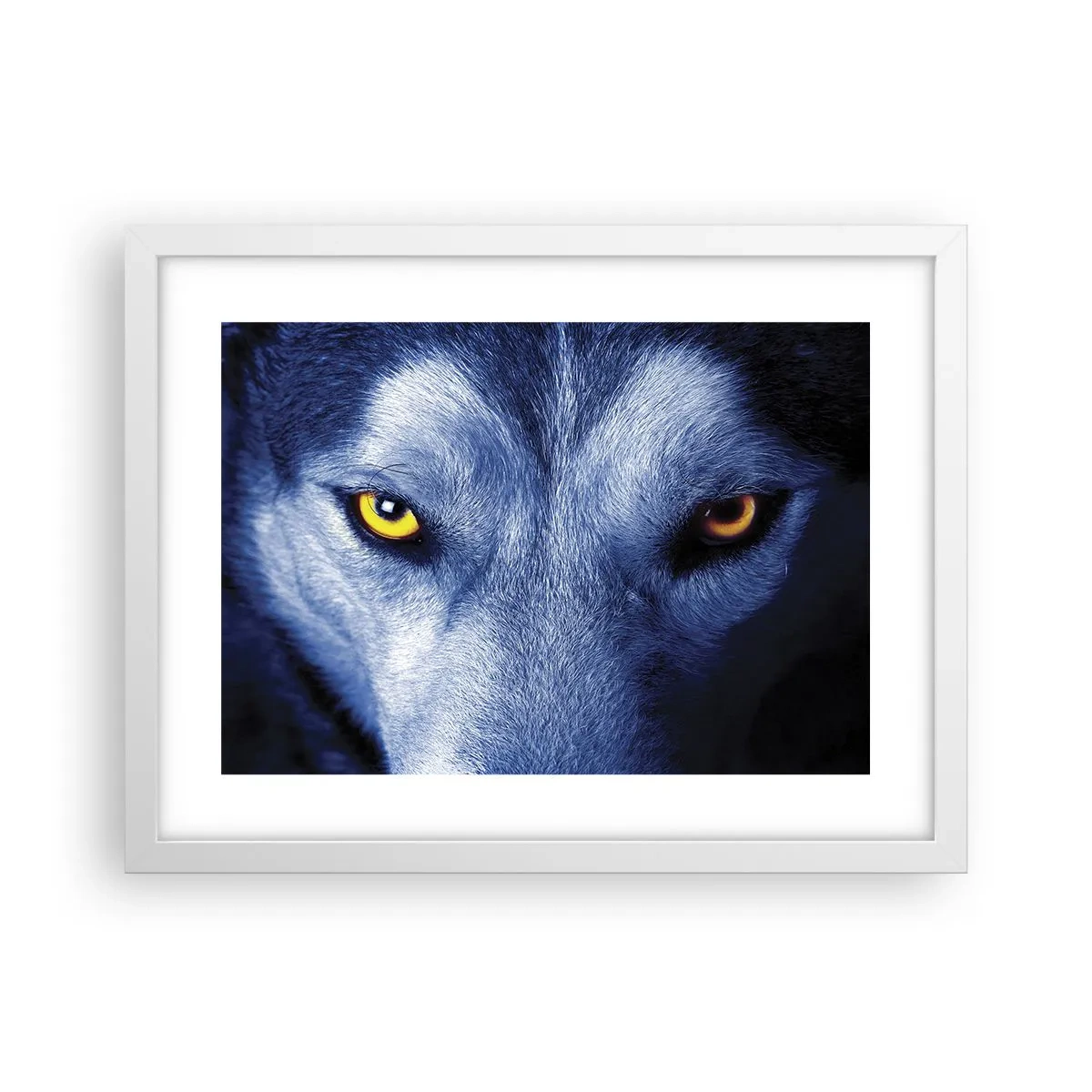Plakat w białej ramie - Hipnotyzujące spojrzenie - 40x30 cm