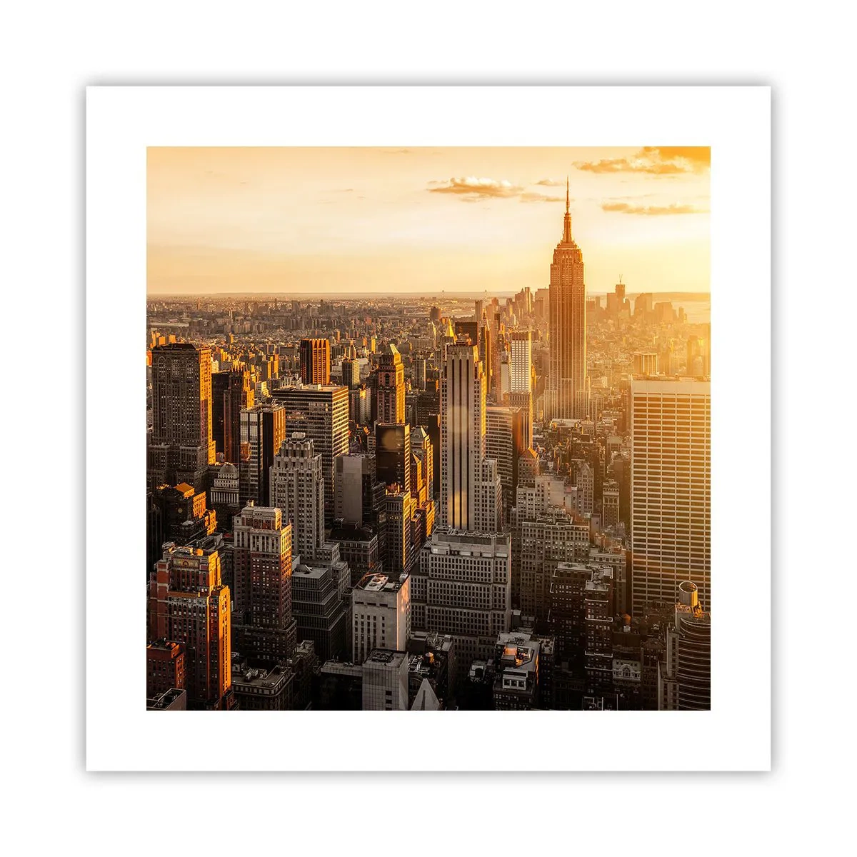 Plakat - Rosnąc w słońcu - 40x40 cm