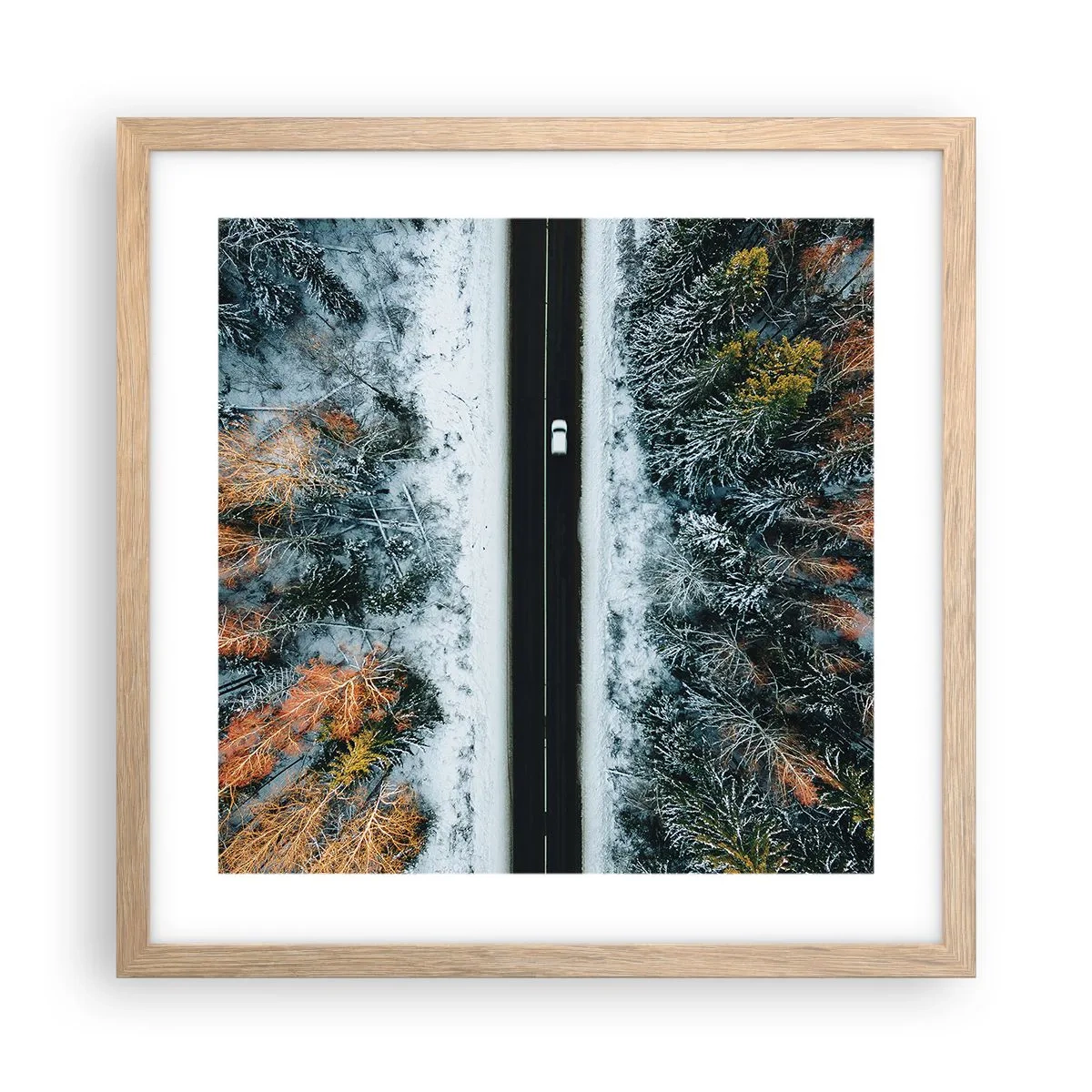Plakat w ramie jasny dąb - Przeciąć zimowy las - 40x40 cm
