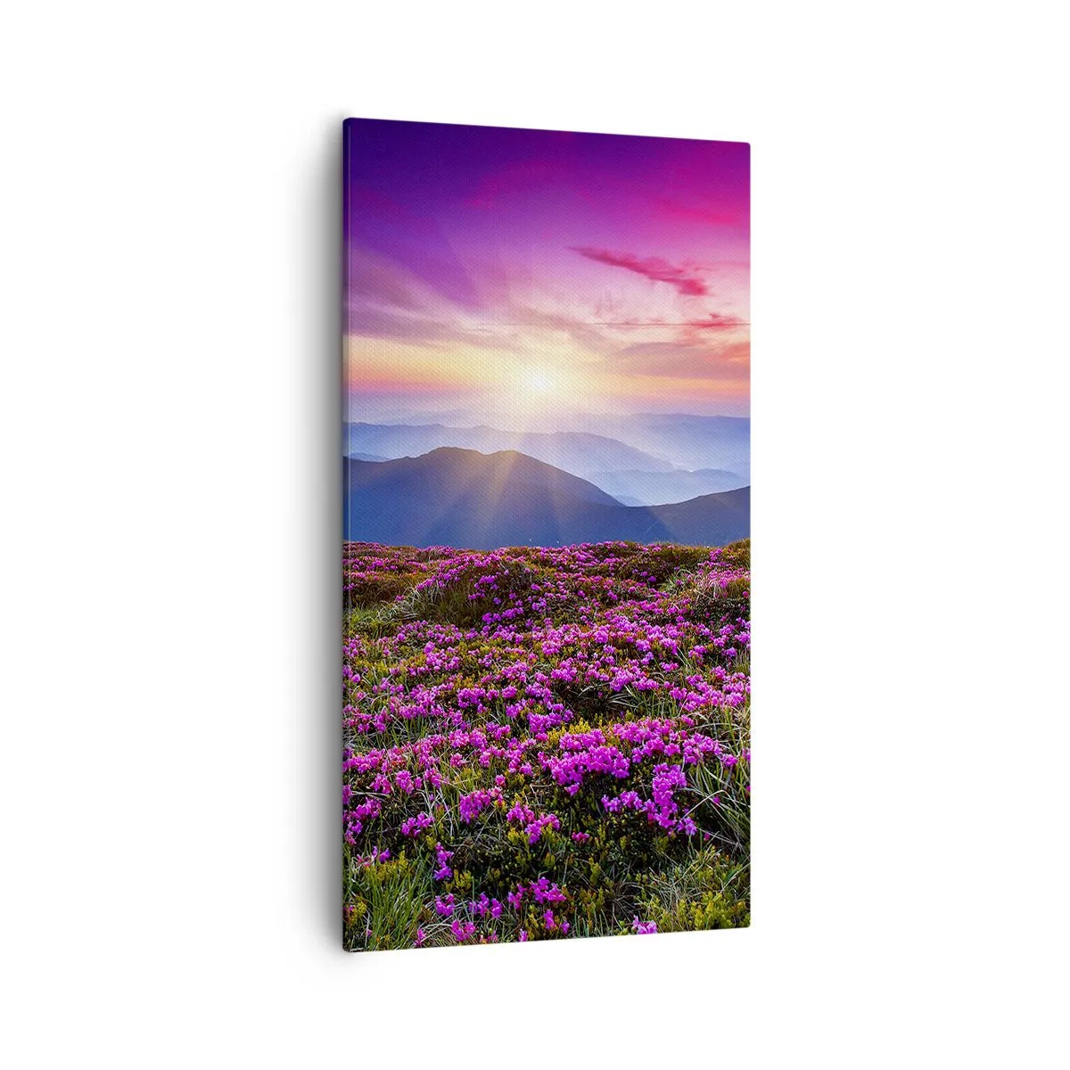 Obraz na płótnie - Ziół zapachniały świeże pęki od niw - 55x100 cm