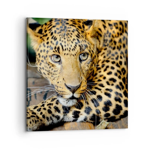 Obraz na płótnie - Nie bój się, podejdź - 70x70 cm