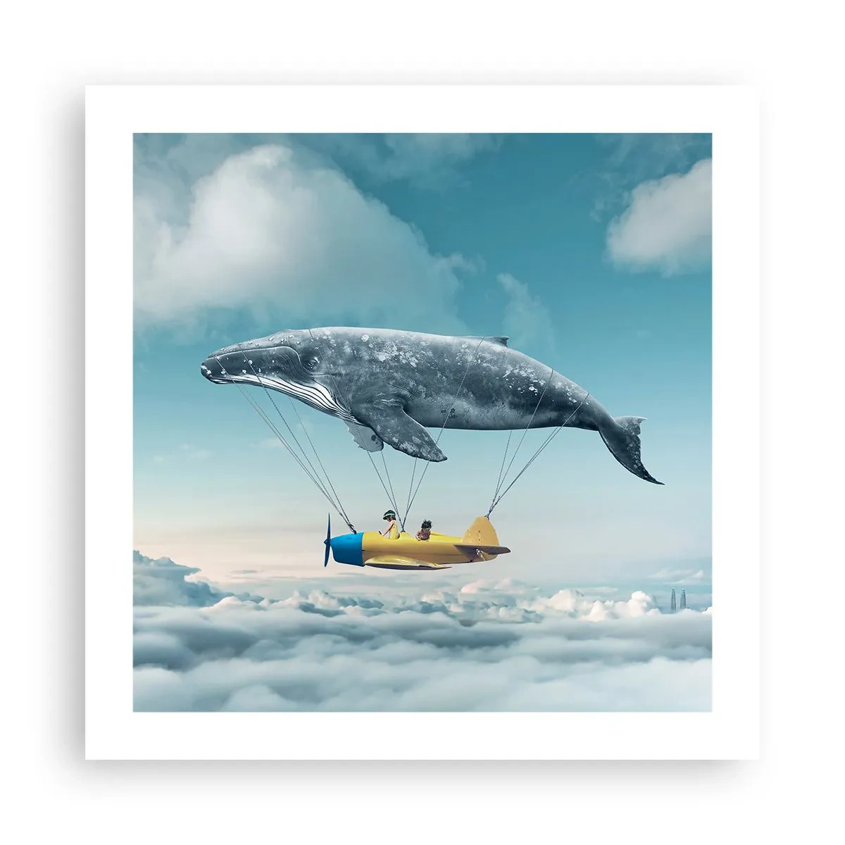 Plakat - Dlaczego nie? - 50x50 cm