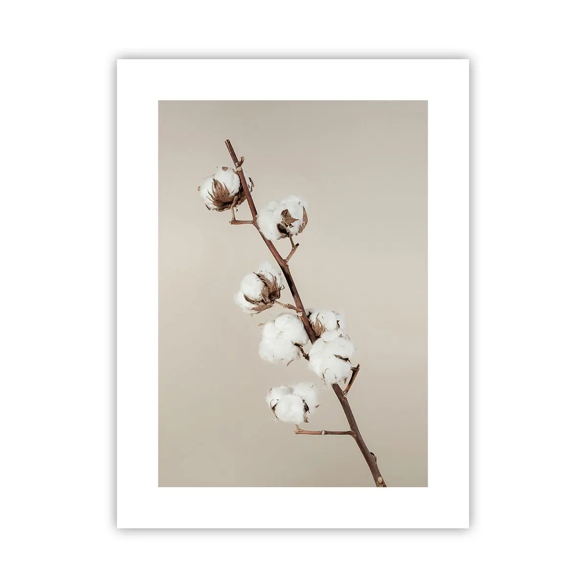 Plakat - U źródła miękkości - 30x40 cm