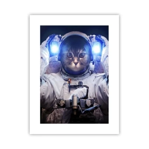 Plakat - Houston, macie problem - 30x40 cm