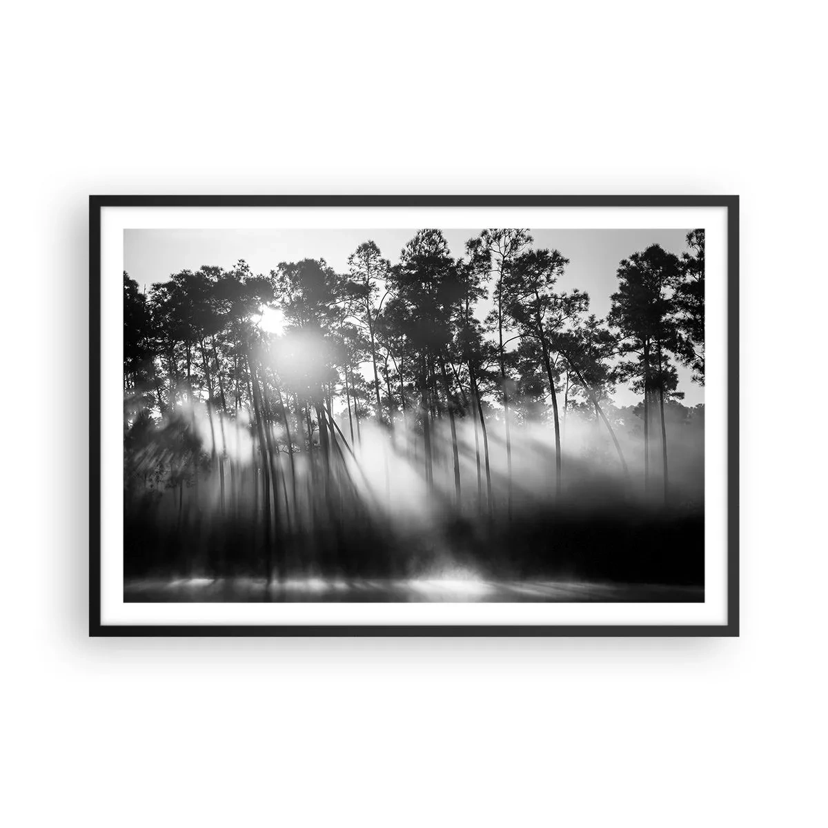 Plakat w czarnej ramie - Niepowstrzymane słońce - 91x61 cm