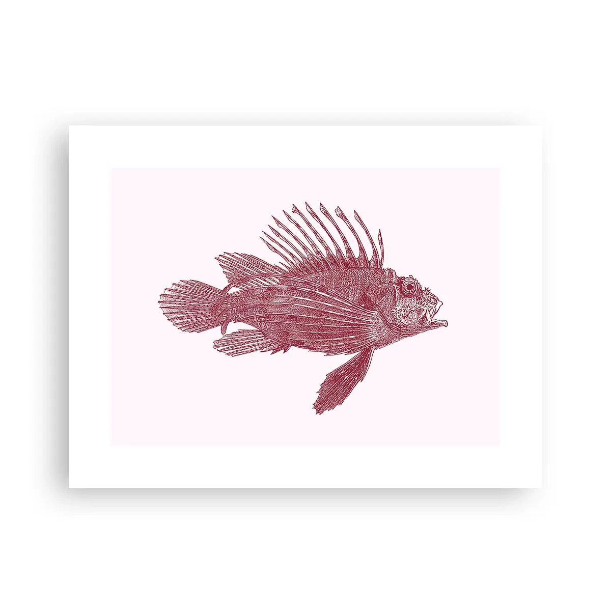 Plakat - Mieszkanka egzotycznych wód - 40x30 cm