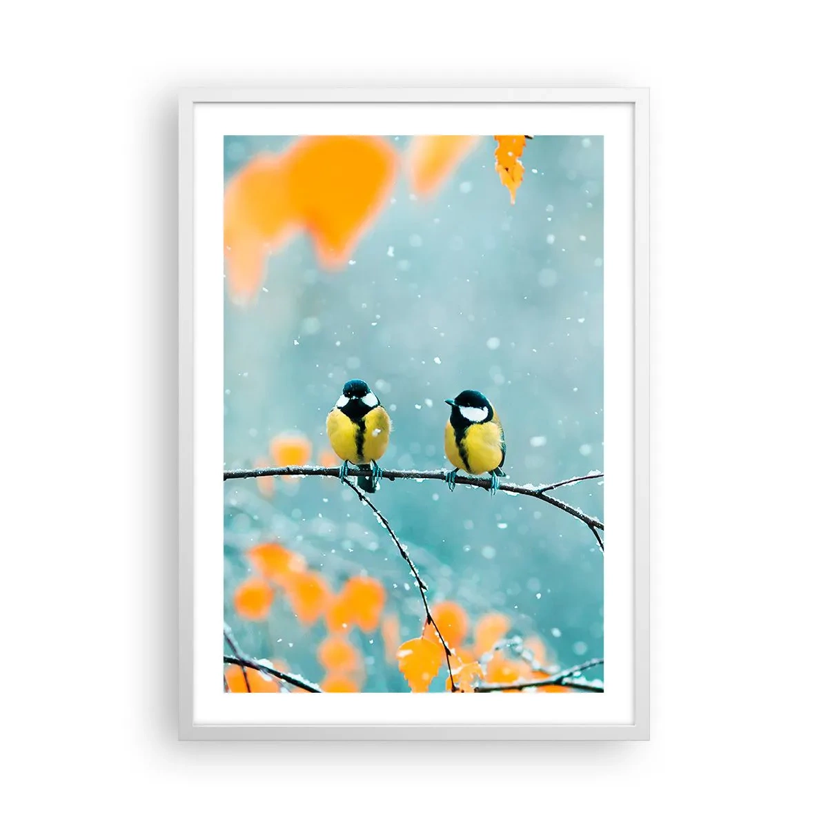 Plakat w białej ramie - Ptasie plotki - 50x70 cm