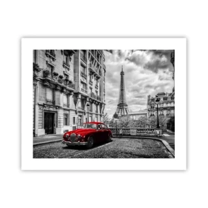 Plakat - Drapieżnik w mieście - 50x40 cm