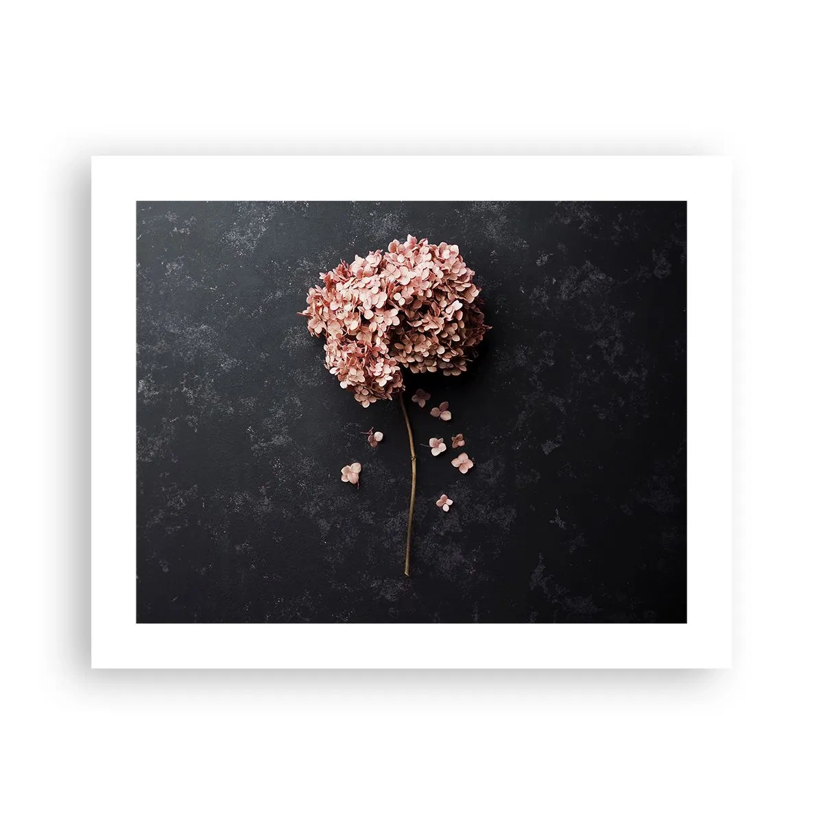 Plakat - Prawdziwie romantyczny znak - 50x40 cm