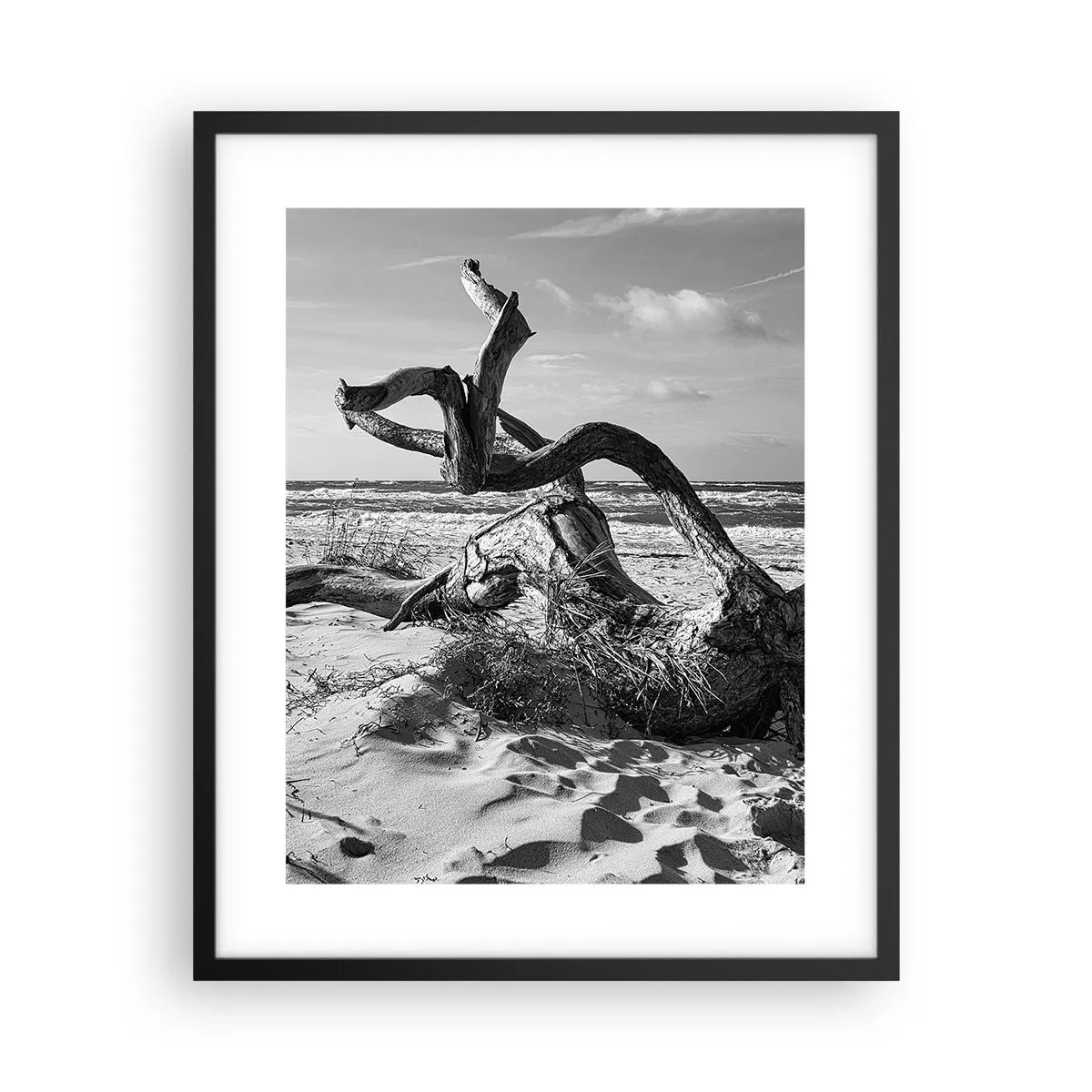 Plakat w czarnej ramie - Morska rzeźba - 40x50 cm