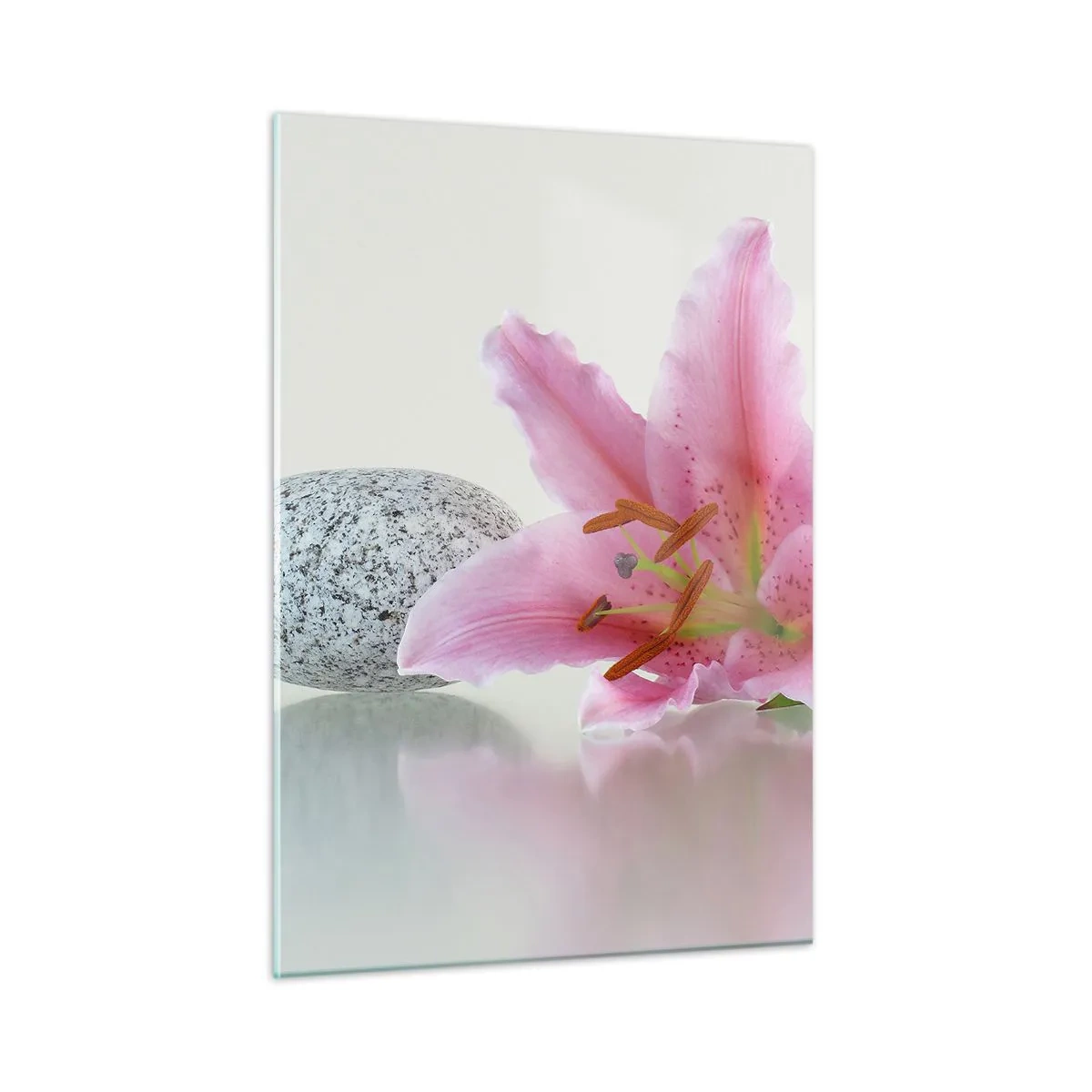 Obraz na szkle - Różowa lilia na tle białych kamieni w stylu spa - 50x70cm - Studium w różu, szarości i bieli - Nowoczesna dekoracja ścienna do salonu, kuchni i sypialni ARTTOR