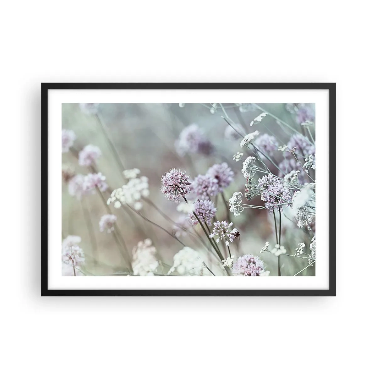 Plakat w czarnej ramie - Delikatne kwiaty w pastelowych odcieniach - 70x50cm - Słodkie filigrany ziół - Nowoczesna dekoracja ścienna do salonu i sypialni ARTTOR