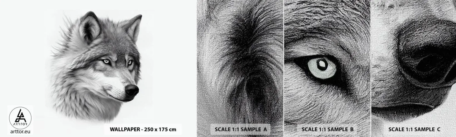 Fototapeta Próbka Premium Canvas - Alfa – bez wątpienia - Wilk, Zwierzę, Skandynawski - 100x30 cm