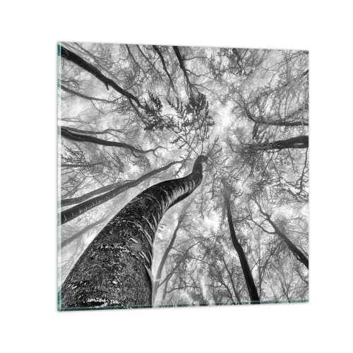 Obraz na szkle - Wyścig do światła - 50x50 cm