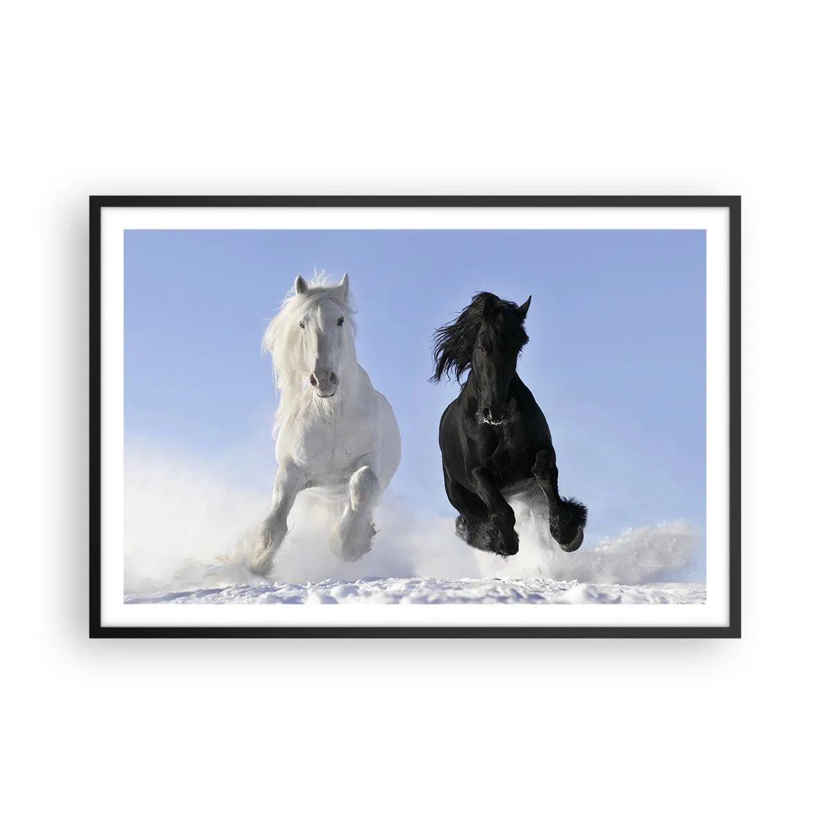 Plakat w czarnej ramie - Czarno-biały galop - 91x61 cm