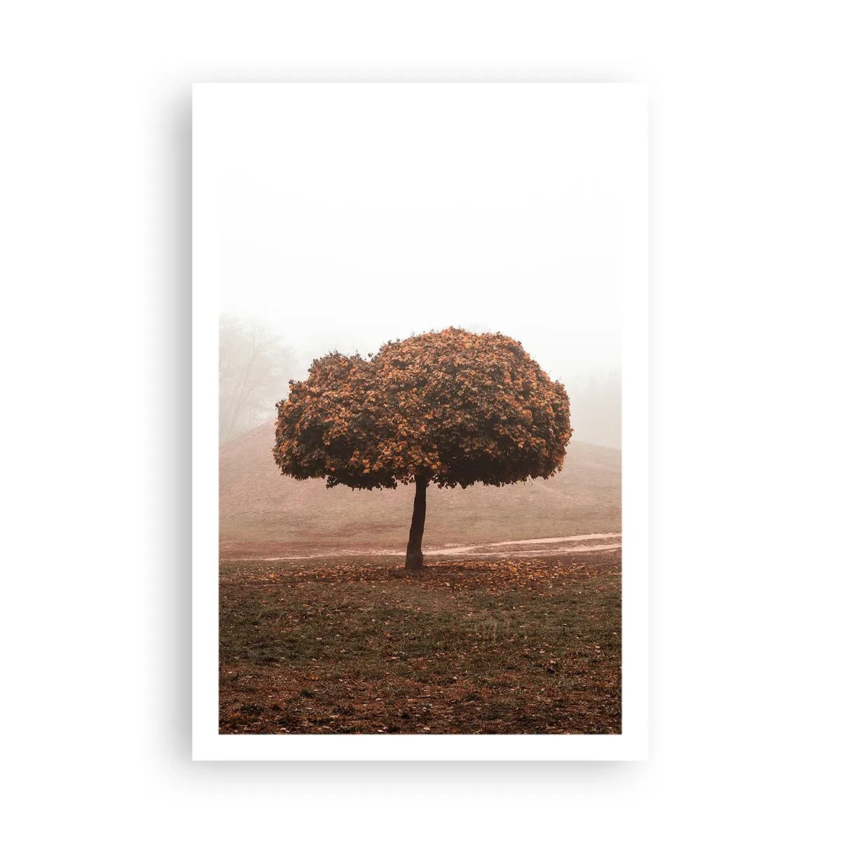 Plakat - Po pracowitym lecie - 61x91 cm