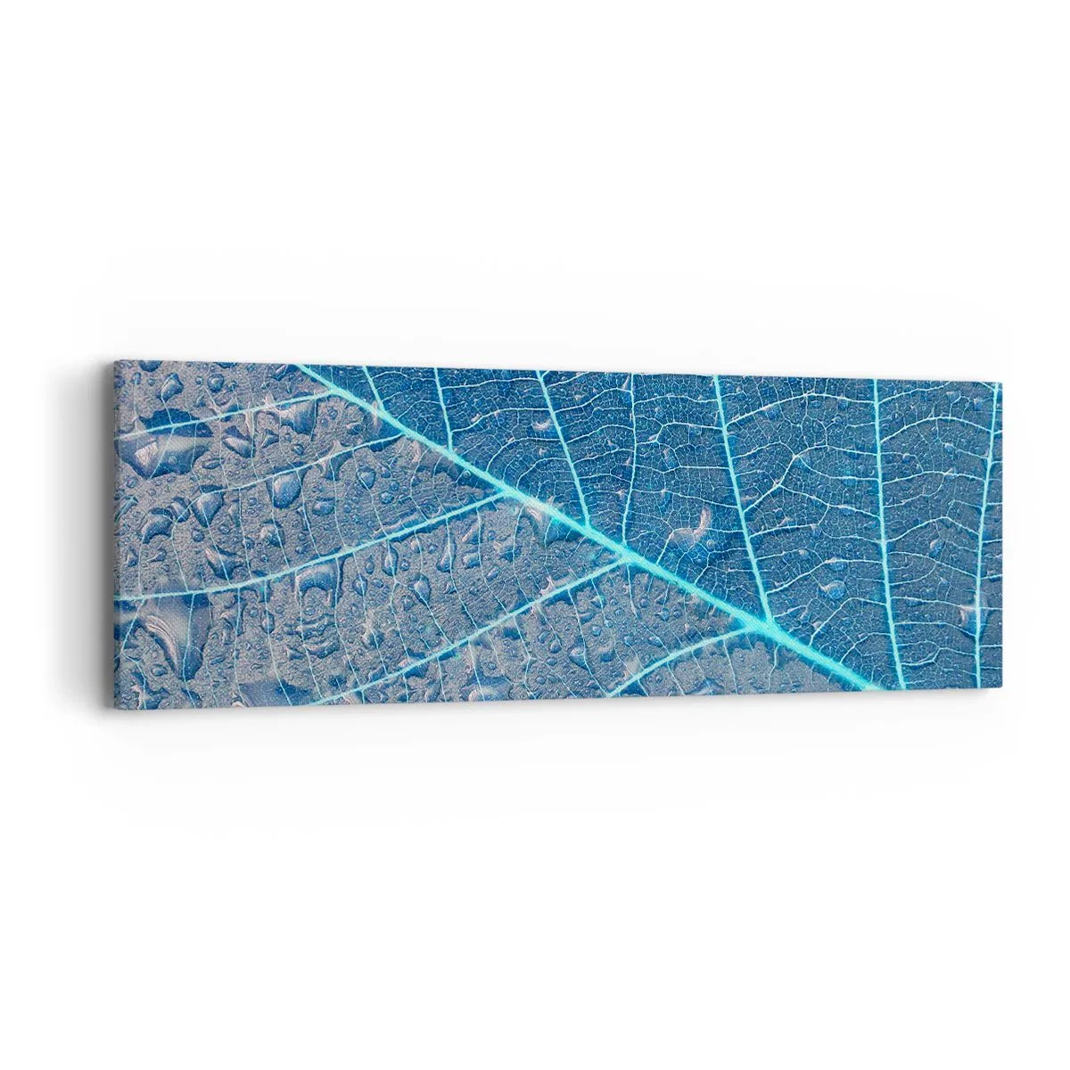 Obraz na płótnie - Życie w błękicie - 90x30 cm