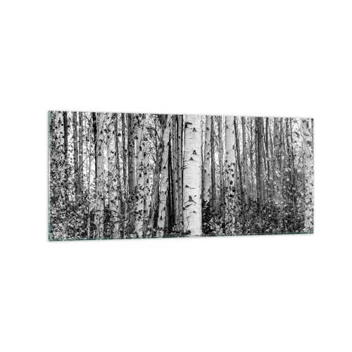Obraz na szkle - Czarno-białe brzozy w lesie - 120x50cm - Brzozowa kolumnada - Nowoczesna dekoracja ścienna do salonu i sypialni ARTTOR