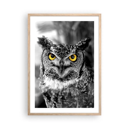 Plakat w ramie jasny dąb - Nic się nie ukryje - 50x70 cm