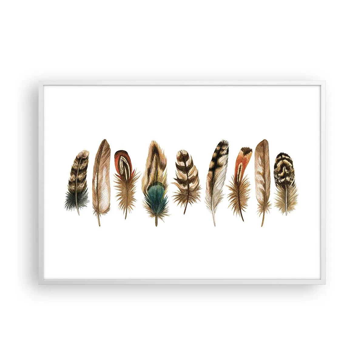 Plakat w białej ramie - Pierzasta wariacja - 100x70 cm