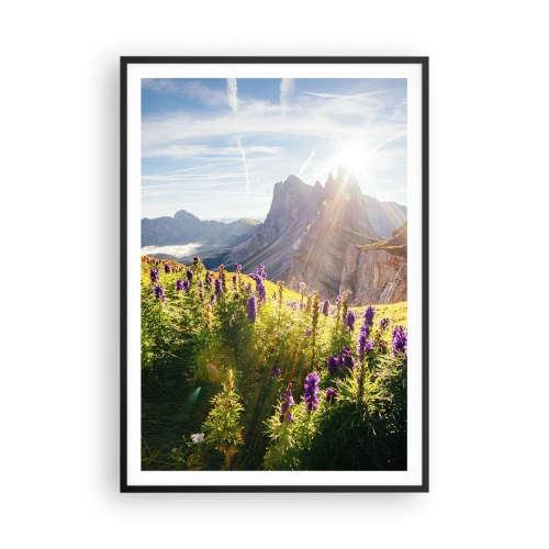 Plakat w czarnej ramie - Sekretne życie ziół - 70x100 cm