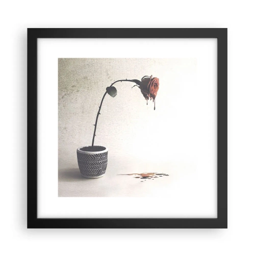 Plakat w czarnej ramie - Rosa dolorosa - 30x30 cm