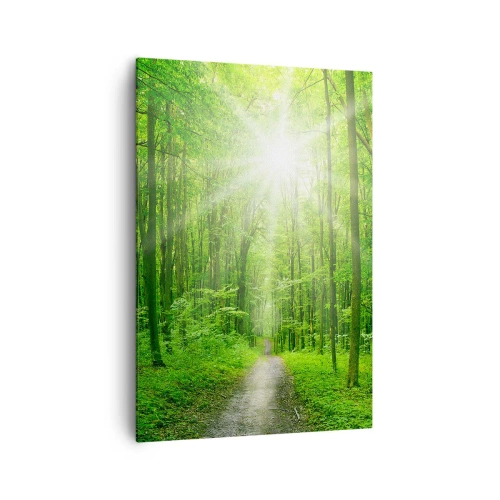 Obraz na płótnie - Ścieżka w lesie z promieniami słońca - 70x100cm - Zielona katedra - Nowoczesna dekoracja ścienna do salonu i sypialni ARTTOR