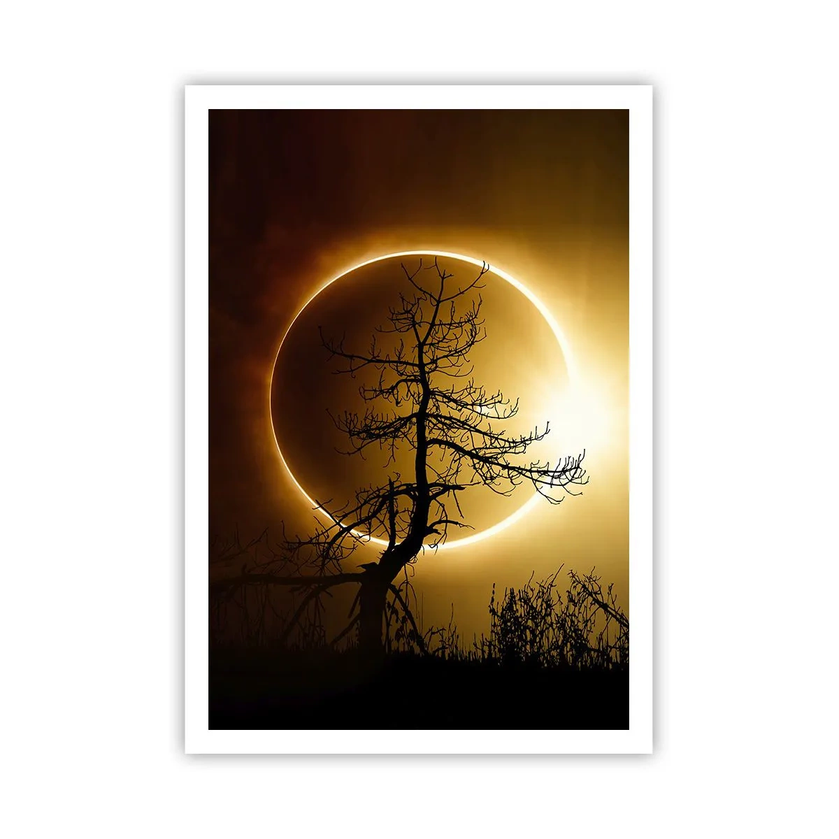 Plakat - Całkowite zaćmienie - 70x100 cm