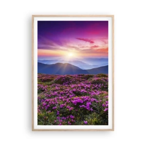 Plakat w ramie jasny dąb - Ziół zapachniały świeże pęki od niw - 70x100 cm